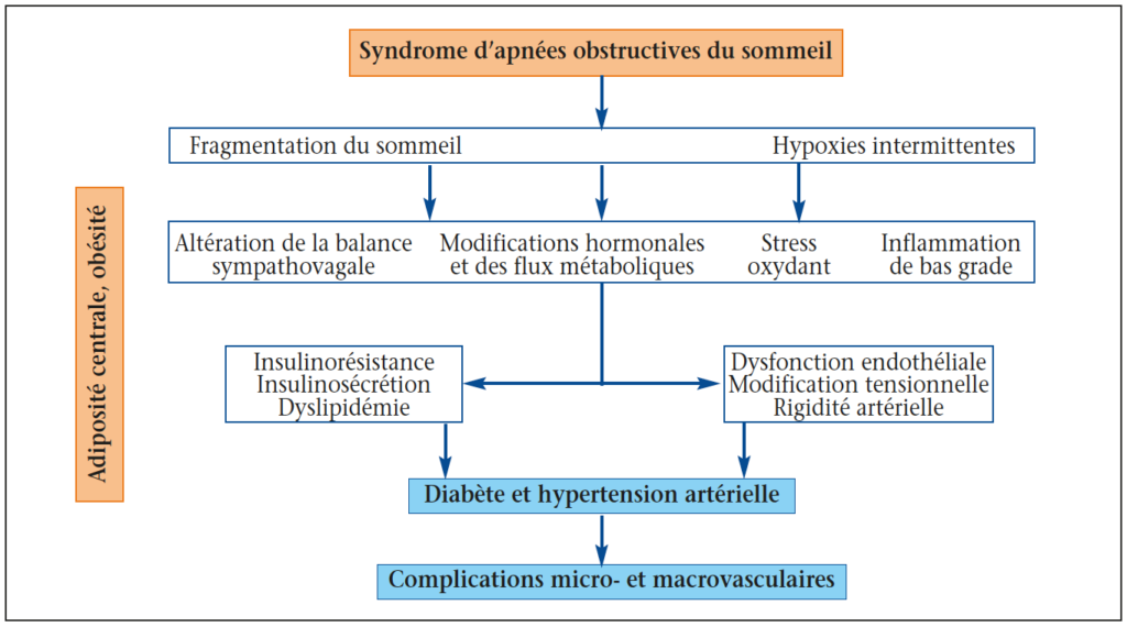 https://www.diabetologie-pratique.com/sites/www.diabetologie-pratique.com/files/images/article-journal/synthese_consequences_du_saos.png