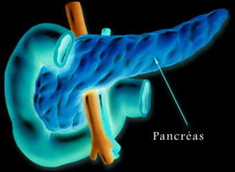 Cancer du pancréas: quels sont les moyens préventifs à disposition?