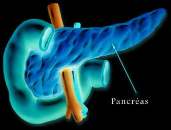 Cancer du pancréas: quels sont les moyens préventifs à disposition?