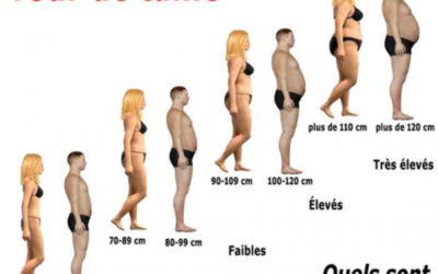 L’ACTIVITÉ PHYSIQUE AMÉLIORE AUSSI LA SENSIBILITÉ À L’INSULINE DU TISSU ADIPEUX